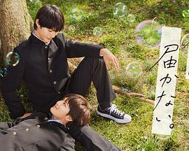 玉蝶app下载软件